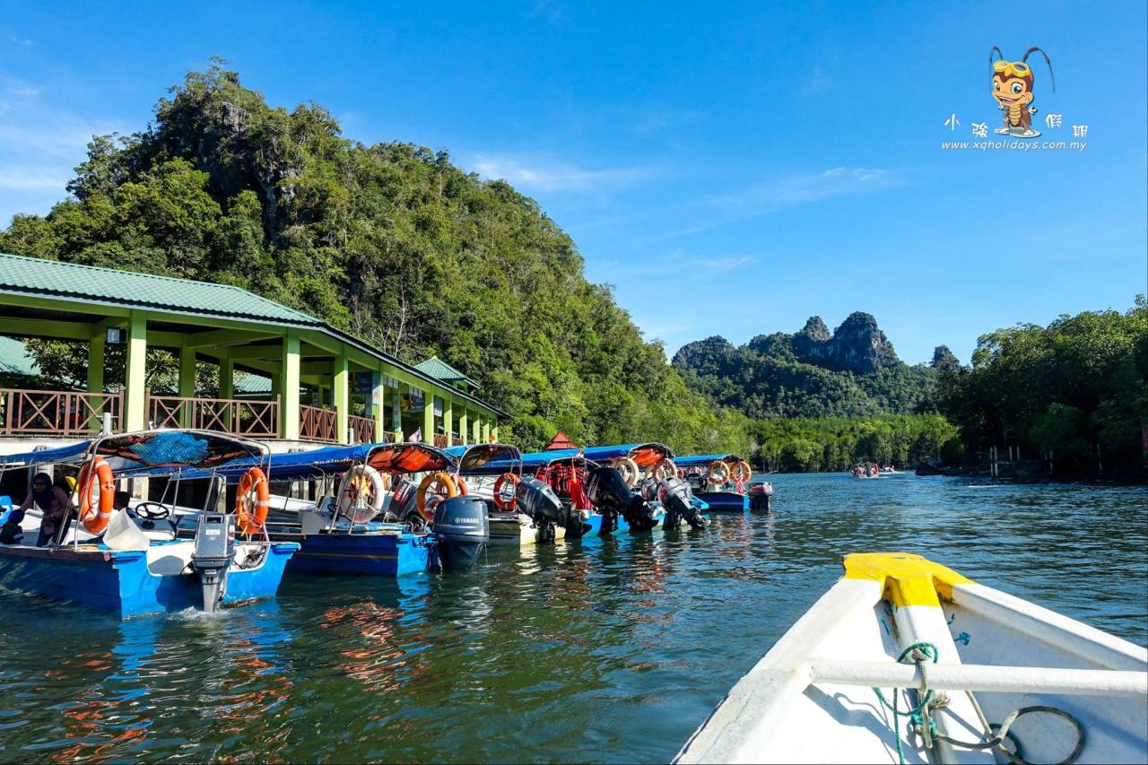 Jelajahi Hutan Mangrove Langkawi: Tur Mangrove yang Menakjubkan