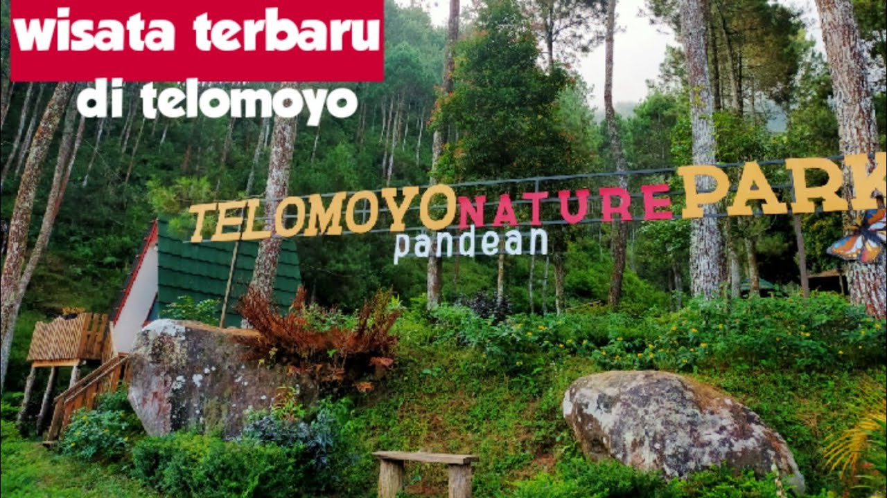 Telomoyo Nature Park: Menikmati Keindahan Alam di Lereng Gunung Telomoyo